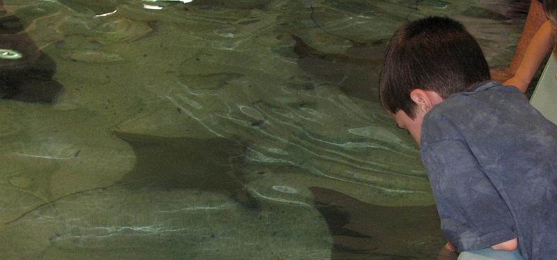2008-09-27_Mystic_Aquarium 157_1.jpg